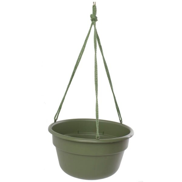 12-in  Self Watering Hanging Basket Resin Planter