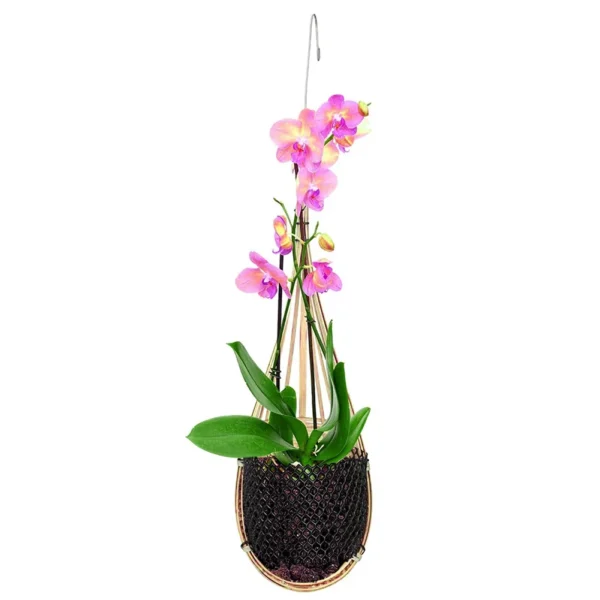 Hanging Orchid Planter, Bamboo Woven Orchid Hanging Baskets with Metal Hook Bird Nest Style Plant Hangers for Trellis & Gazebo Indoor Outdoor Small Flower Planter