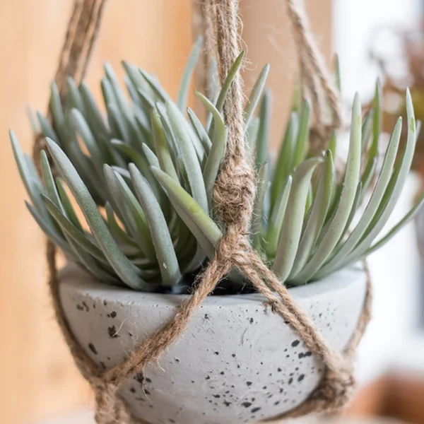 Plant Hanger 41" inch Hemp Jute Rope Plant  Hanger Pot Holder Hanging Basket - Image 2