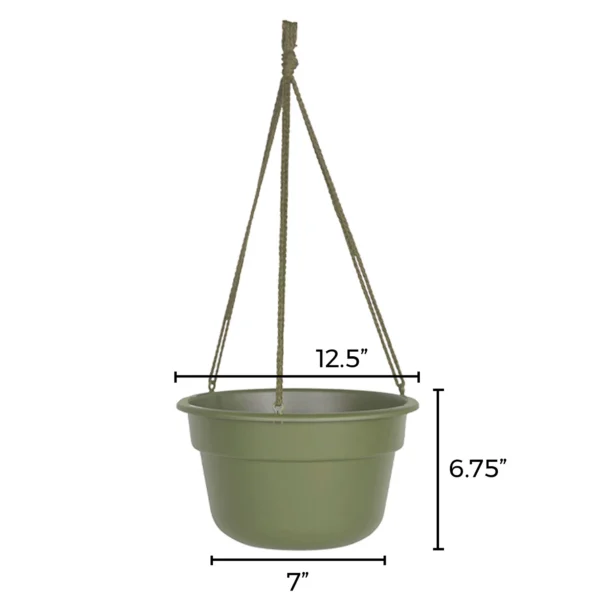 12-in  Self Watering Hanging Basket Resin Planter - Image 2